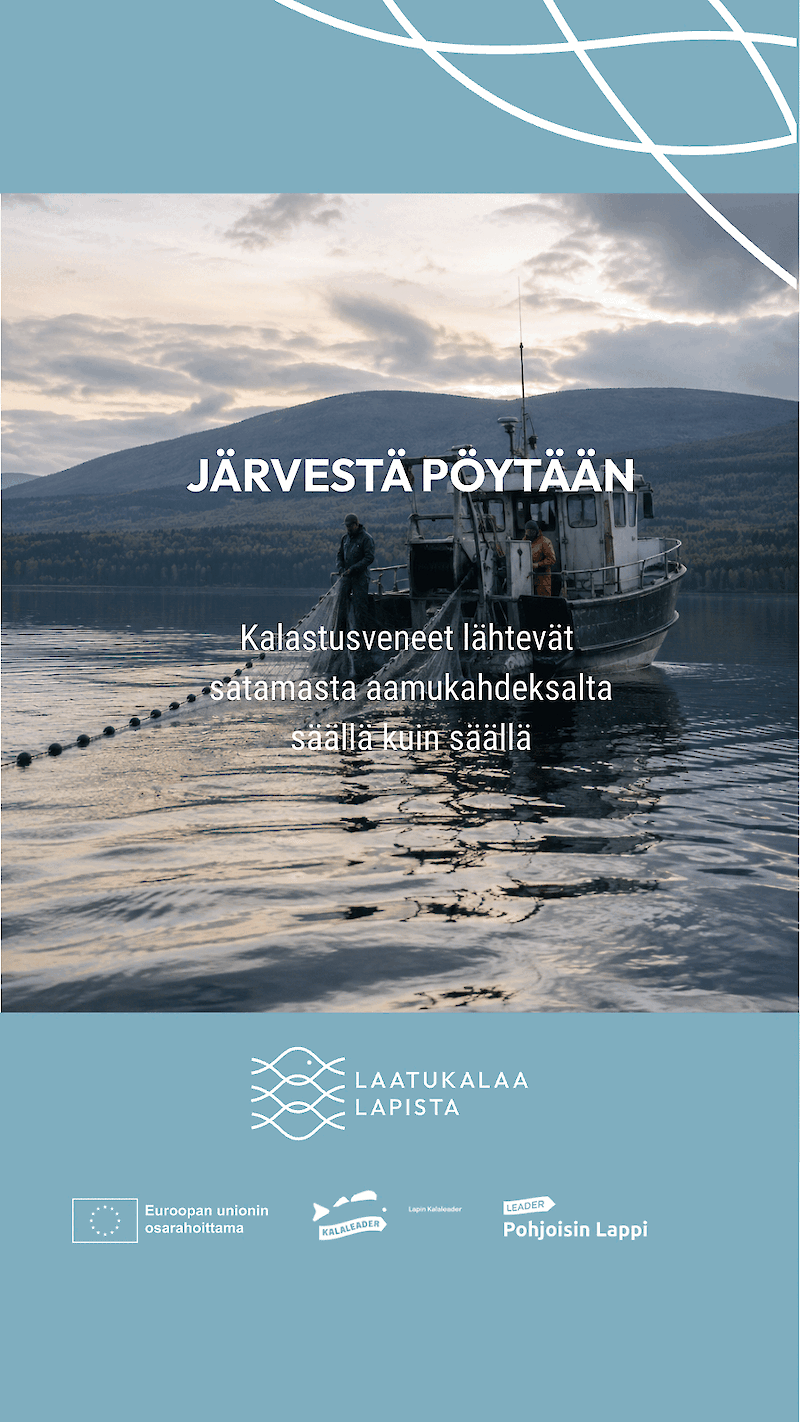 Canva-pohjat someen